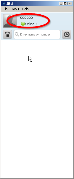 04_jitsi_onlline.png
